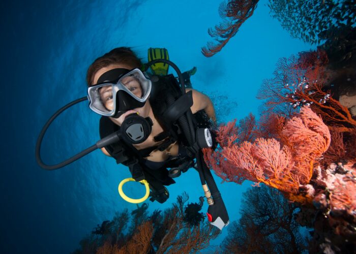 shutterstock_514425874
